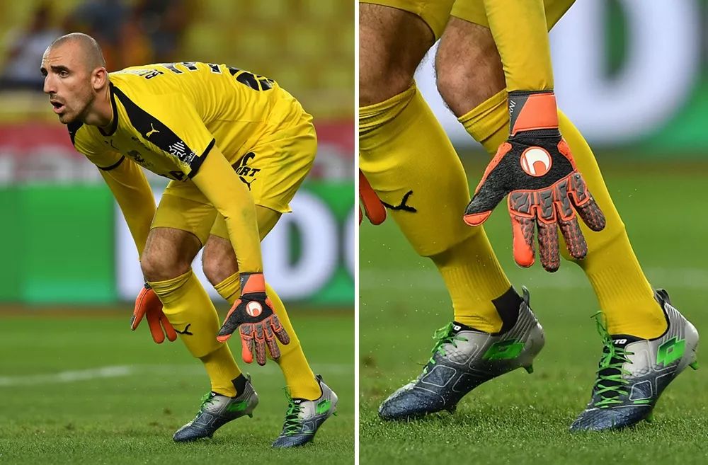 不仅提升了 不仅提升了